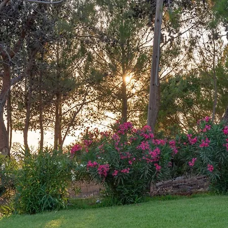 Appartamento Seashell Luxury - 1 Lixouri