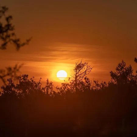 Seashell Luxury - 1 Lixouri