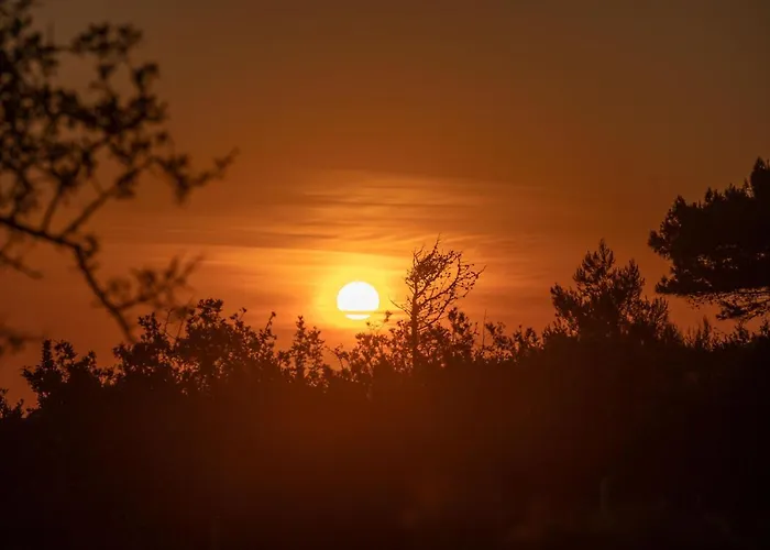 Seashell Luxury - 1 里科索翁