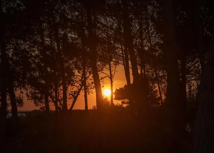 アパート Seashell Luxury - 1 *